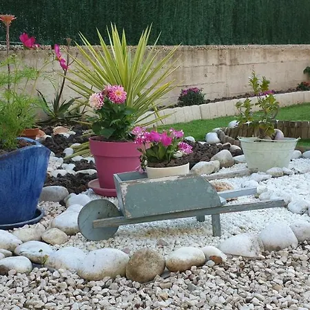 公寓 Studio Le Lavandou